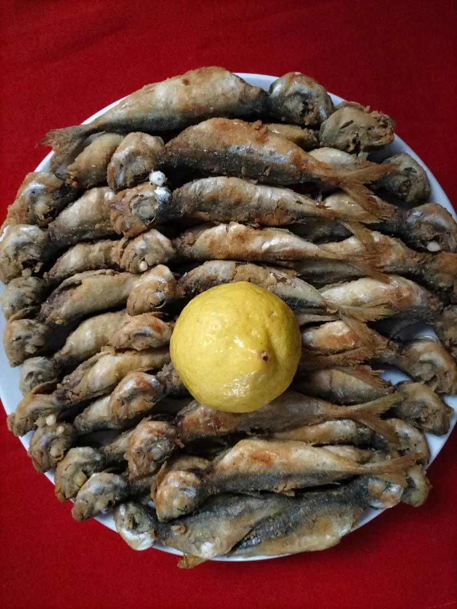 İstavrit
