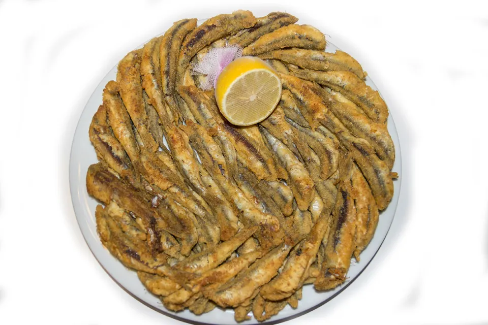 Hamsi
